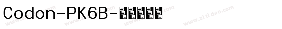 Codon-PK6B字体转换 Codon-PK6B字体转换