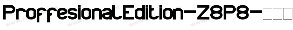 ProffesionalEdition-Z8P8字体转换