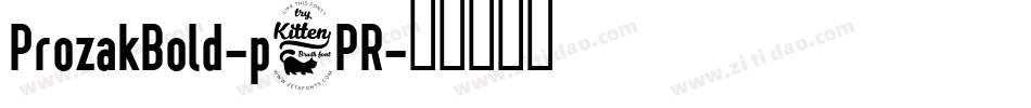 ProzakBold-p6PR字体转换