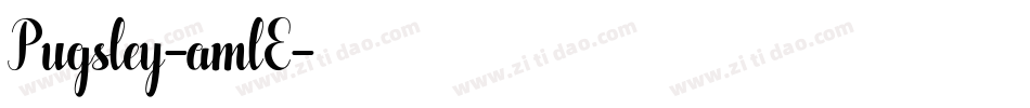 Pugsley-amlE字体转换