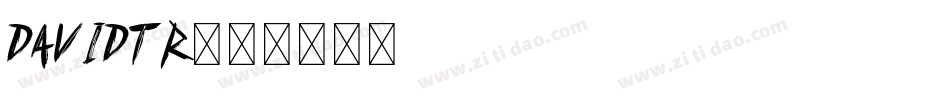 DAVIDTR字体转换
