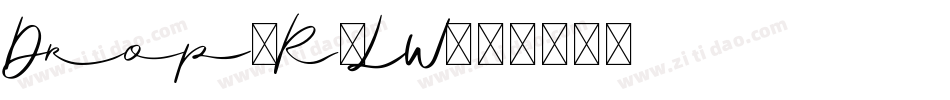 Drop-R9LW字体转换