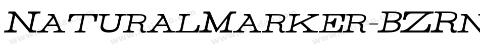 NaturalMarker-BZRn字体转换 NaturalMarker-BZRn字体转换