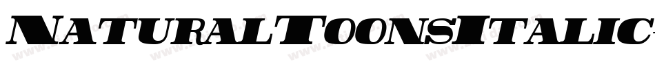 NaturalToonsItalic-r749字体转换