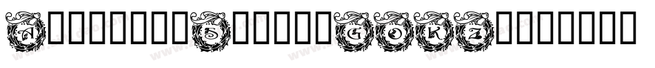 AndersonSilva-GOKZy字体转换