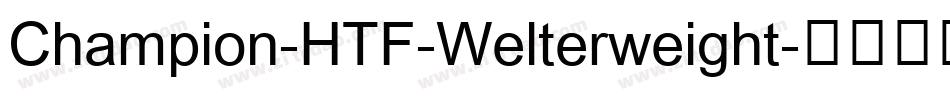Champion-HTF-Welterweight字体转换