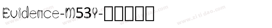 Evidence-M53Y字体转换