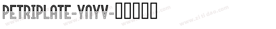 PetriPlate-YnYv字体转换