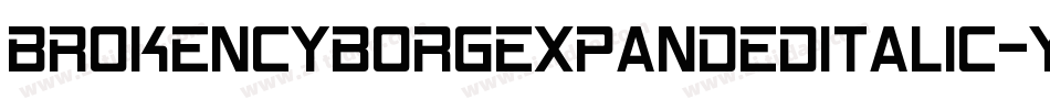 BrokenCyborgExpandedItalic-yRpm字体转换