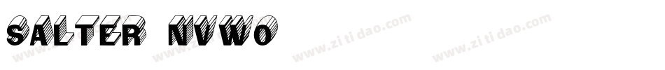 Salter-nvWO字体转换
