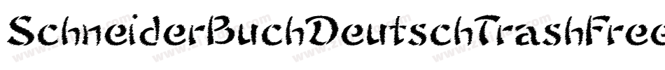 SchneiderBuchDeutschTrashFree-YlWa字体转换