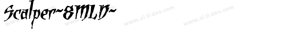 Scalper-8MLD字体转换