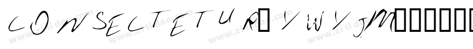 Consectetur-ywYjm字体转换