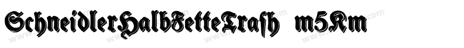 SchneidlerHalbFetteTrash-m5Km字体转换