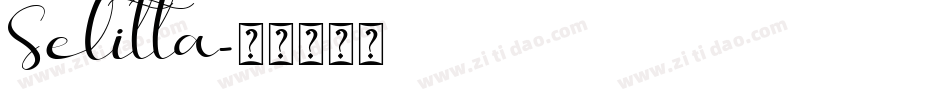 Selitta字体转换