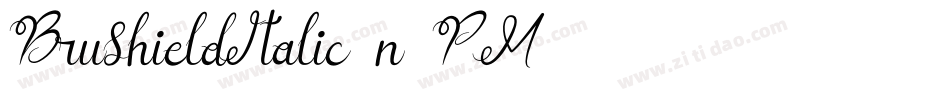 BrushieldItalic-n8PM字体转换