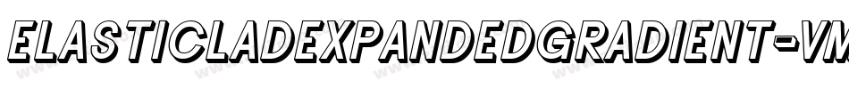 ElasticLadExpandedGradient-vmg89字体转换 ElasticLadExpandedGradient-vmg89字体转换