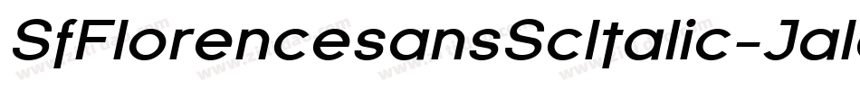 SfFlorencesansScItalic-Jala字体转换 SfFlorencesansScItalic-Jala字体转换