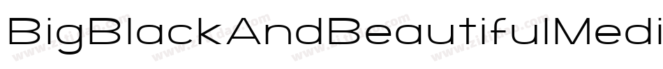 BigBlackAndBeautifulMedium-MGxv字体转换