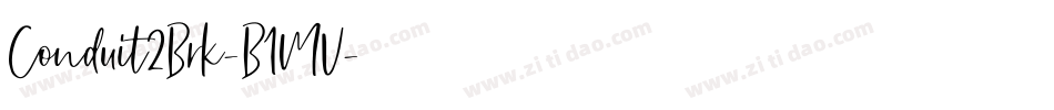 Conduit2Brk-B1MV字体转换
