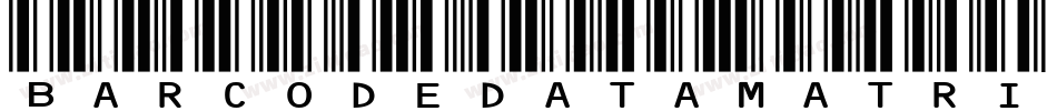Barcodedatamatrix字体转换