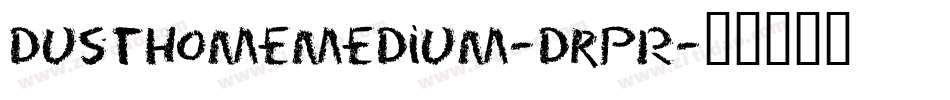 DusthomeMedium-drpR字体转换