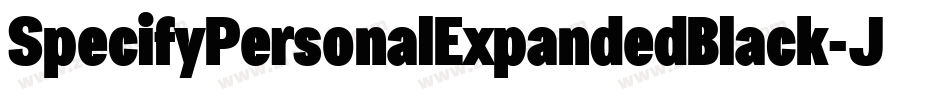 SpecifyPersonalExpandedBlack-J1do字体转换