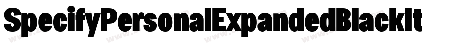 SpecifyPersonalExpandedBlackItalic-G4wP字体转换