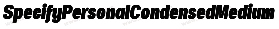 SpecifyPersonalCondensedMediumItalic-AdYD字体转换