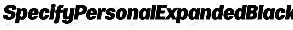 SpecifyPersonalExpandedBlackItalic-G4wP字体转换