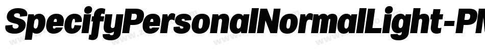 SpecifyPersonalNormalLight-PMmP字体转换