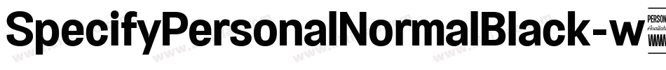 SpecifyPersonalNormalBlack-w582字体转换
