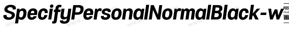 SpecifyPersonalNormalBlack-w582字体转换