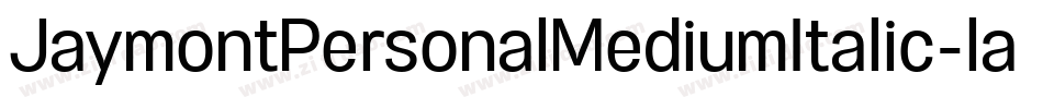 JaymontPersonalMediumItalic-lamq字体转换