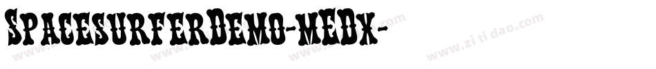 SpacesurferDemo-mEDx字体转换