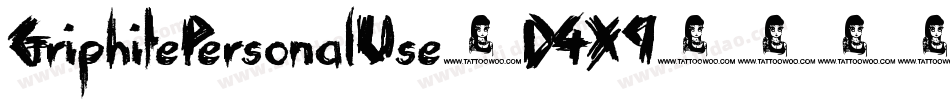 GriphitePersonalUse-D4X9字体转换