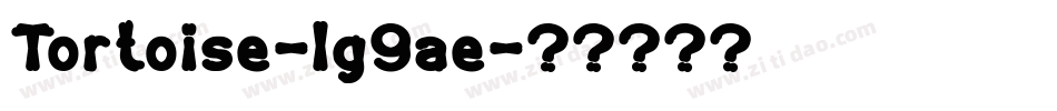 Tortoise-lg9ae字体转换