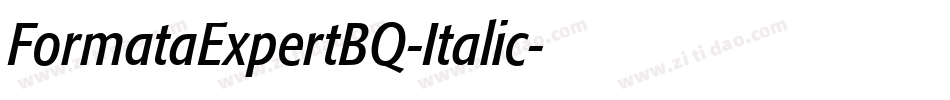 FormataExpertBQ-Italic字体转换