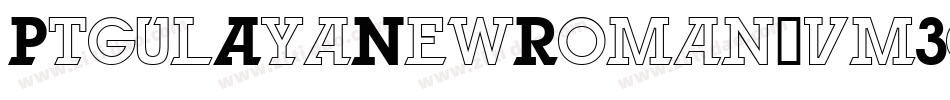 PtgulAyaNewRoman-vm3gZ字体转换