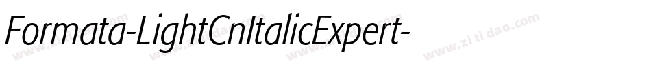 Formata-LightCnItalicExpert字体转换