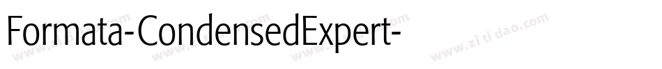 Formata-CondensedExpert字体转换