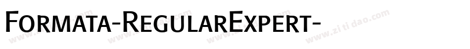 Formata-RegularExpert字体转换