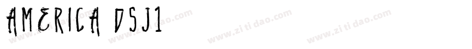 America-D5J1字体转换