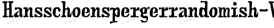 Hansschoenspergerrandomish-VW6B字体转换