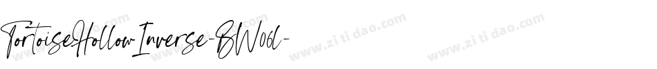 TortoiseHollowInverse-BW06l字体转换