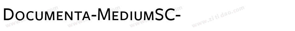 Documenta-MediumSC字体转换
