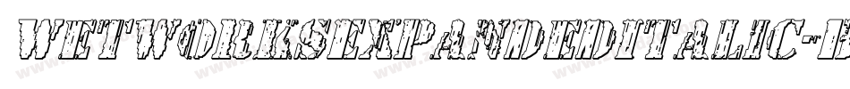 WetworksExpandedItalic-BMEG字体转换 WetworksExpandedItalic-BMEG字体转换