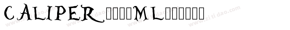 CALIPER-111ML字体转换
