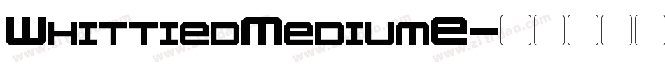 WhittiedMediumE字体转换
