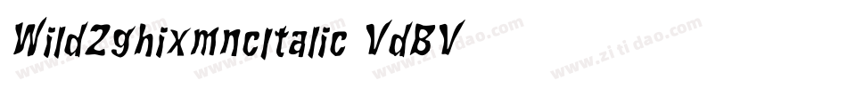 Wild2ghixmncItalic-VdBV字体转换